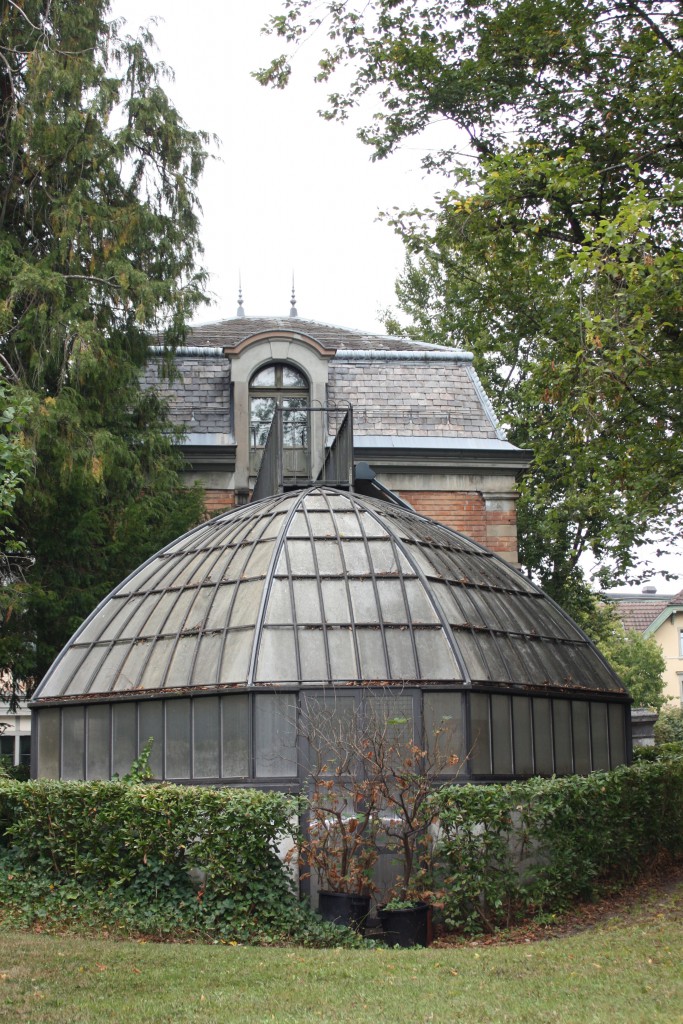 Svirig Blog Post A walk in Winterthur greenhouse Museum