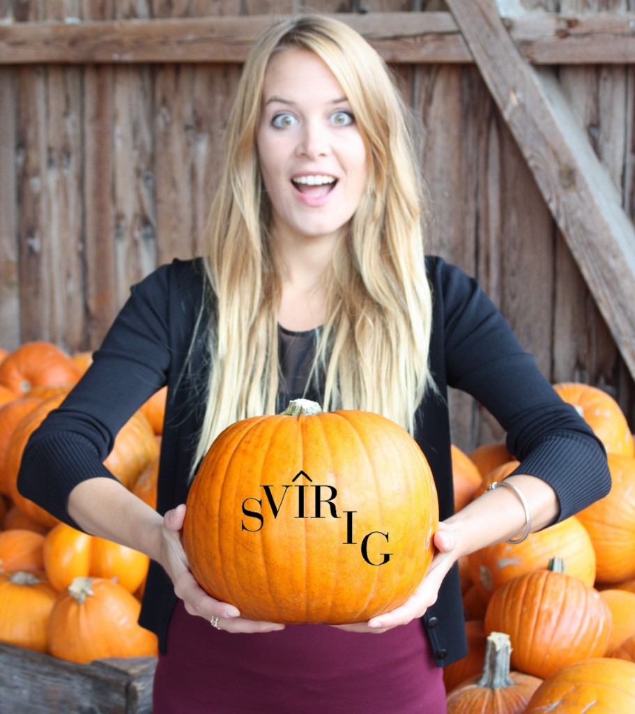 Svirig Blog Happy Halloween Cover Sandra