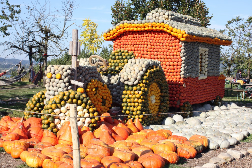 Svirig Blog Post Happy Halloween Juckerhof garden 2015